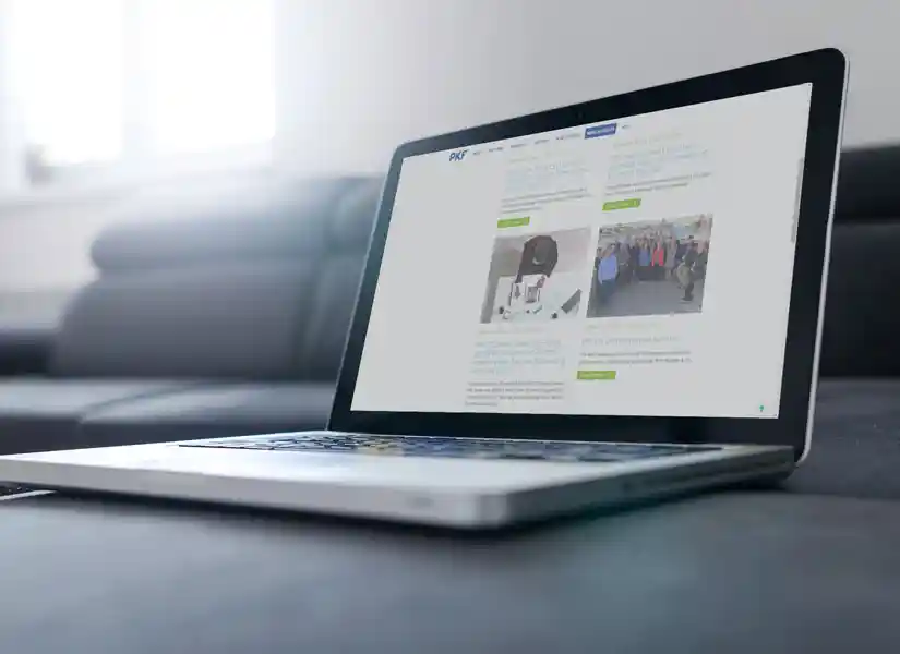 Business Formation and Setup