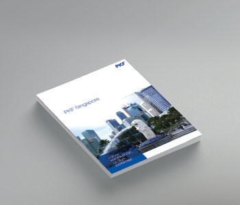 PKF-CAP Corporate Brochure